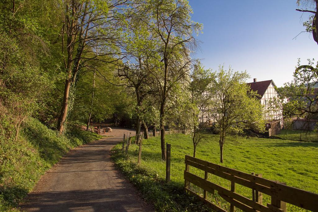 Hotel Am Lingelbach Knullwald Luaran gambar